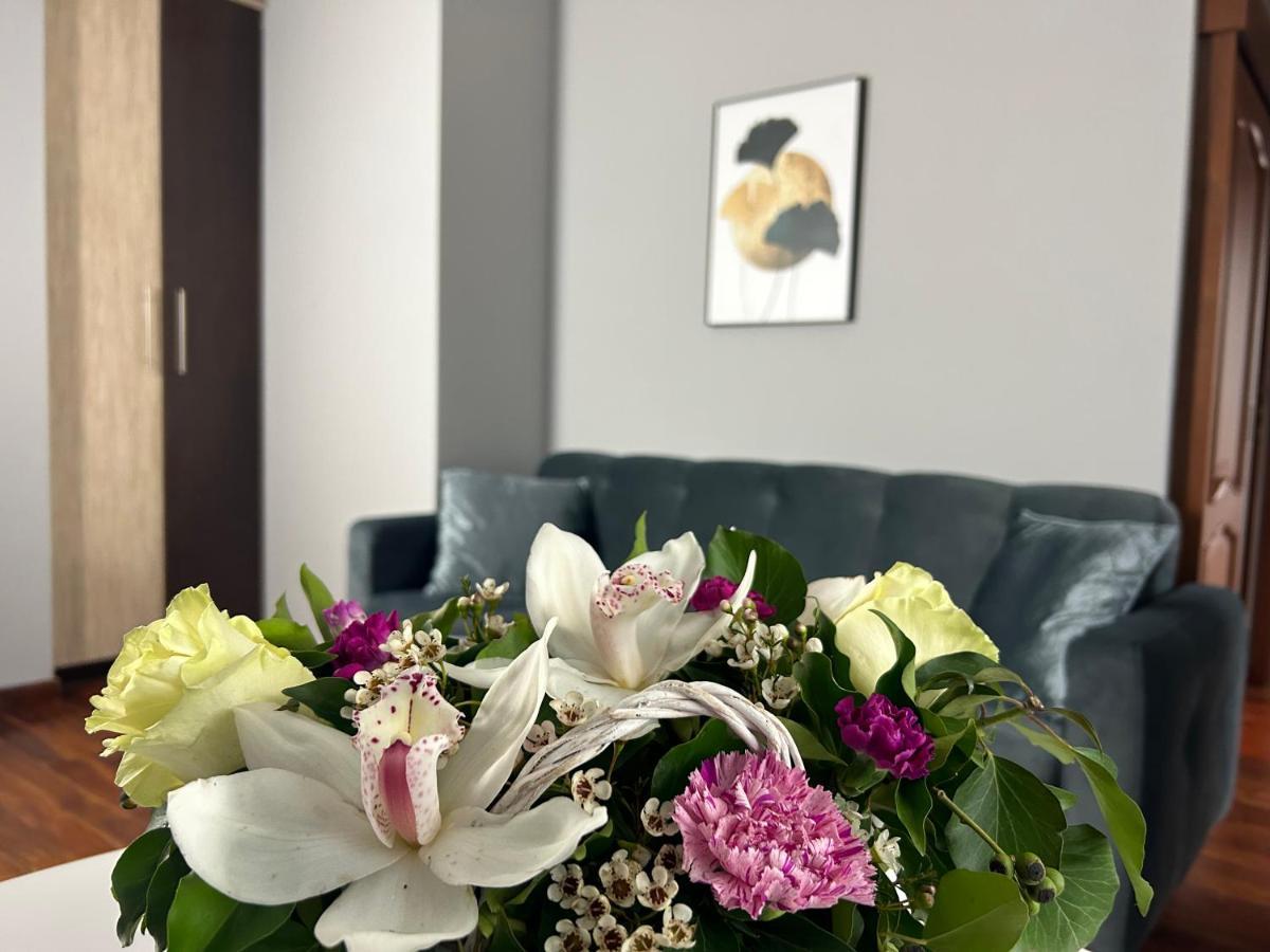 Mala Italia Apartments 弗罗茨瓦夫 外观 照片